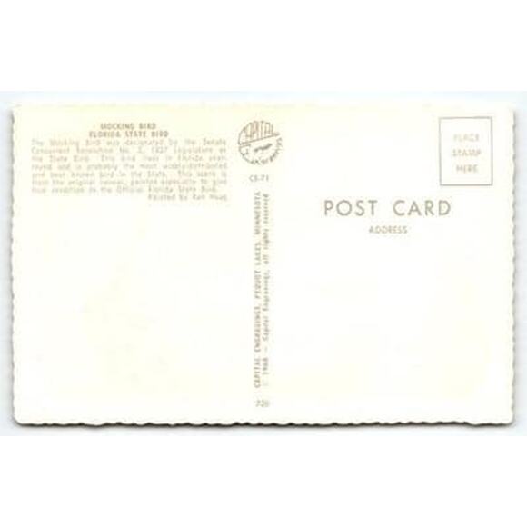 1968 Florida State Bird Mockingbird Ken Haag Artist Signed Postcard - Picture 2 of 2